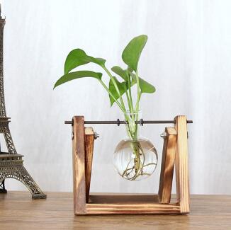 Vintage Creative Hydroponic Plant Transparent Vase